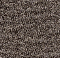 Ковровая плитка Tessera Chroma 3611 Treacle фото 1 | FLOORDEALER